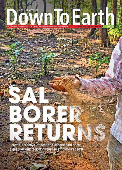 Down To Earth cover, 16&ndash;28 February 2026, &lsquo;Sal Borer Returns&rsquo; &mdash; photograph from the Sal Borer report in Madhya Pradesh